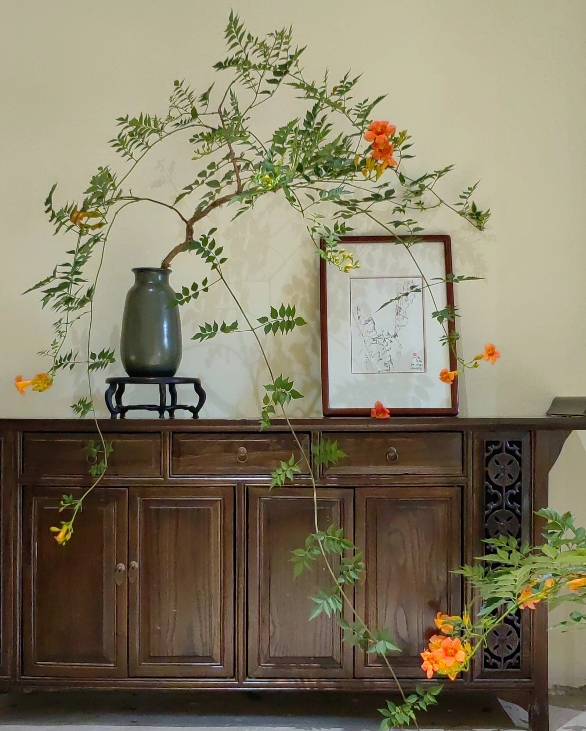 推荐几个提升家居格调的凌霄盆景