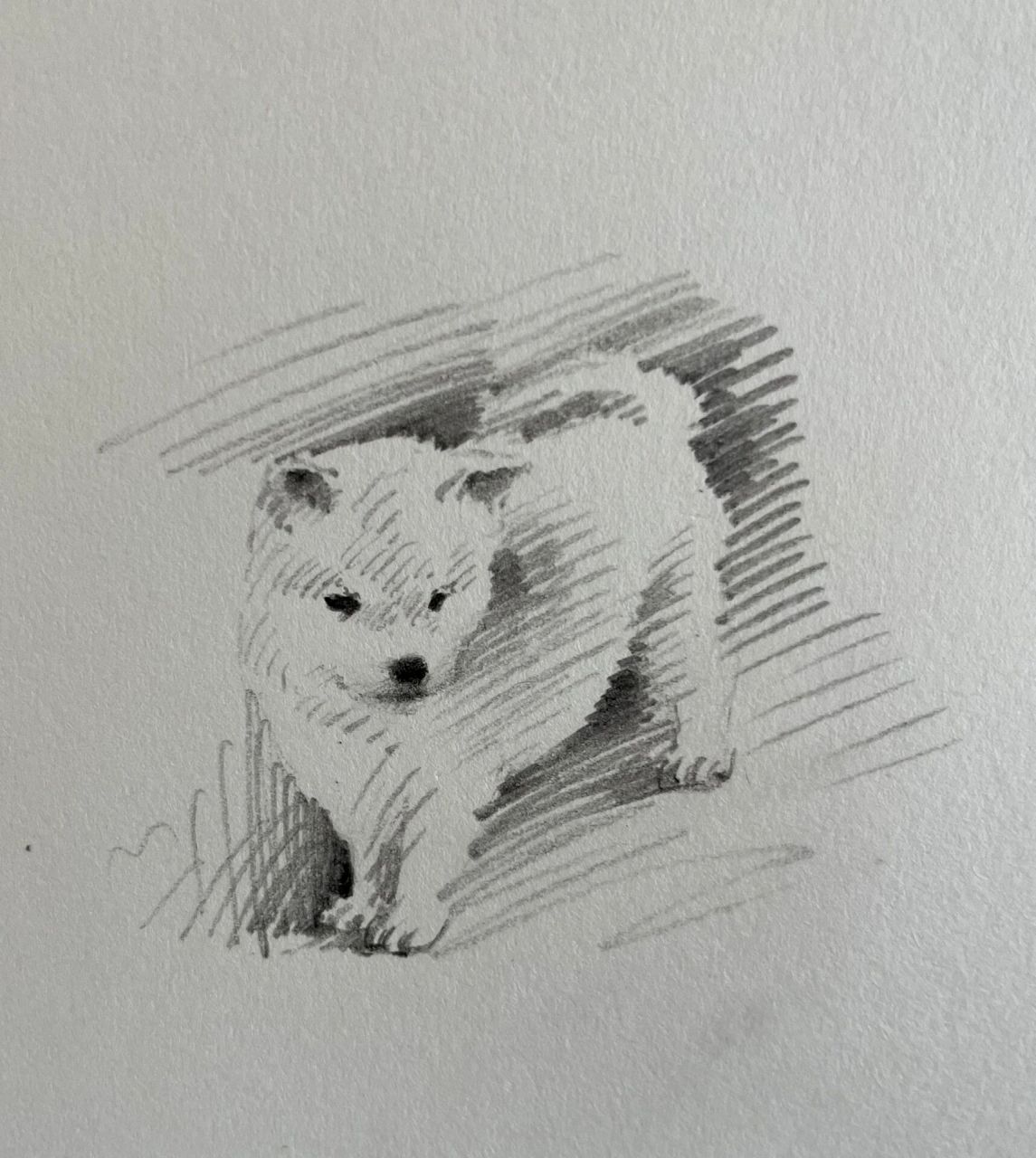 简单两笔  简单几笔画一只小奶狗,用笔很少却非常的真实又可爱,这样