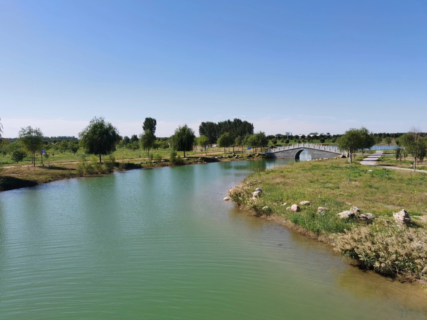 小众游玩地石家庄藁城滹沱河 只拍了几张,这个天气非常适合在这里游玩