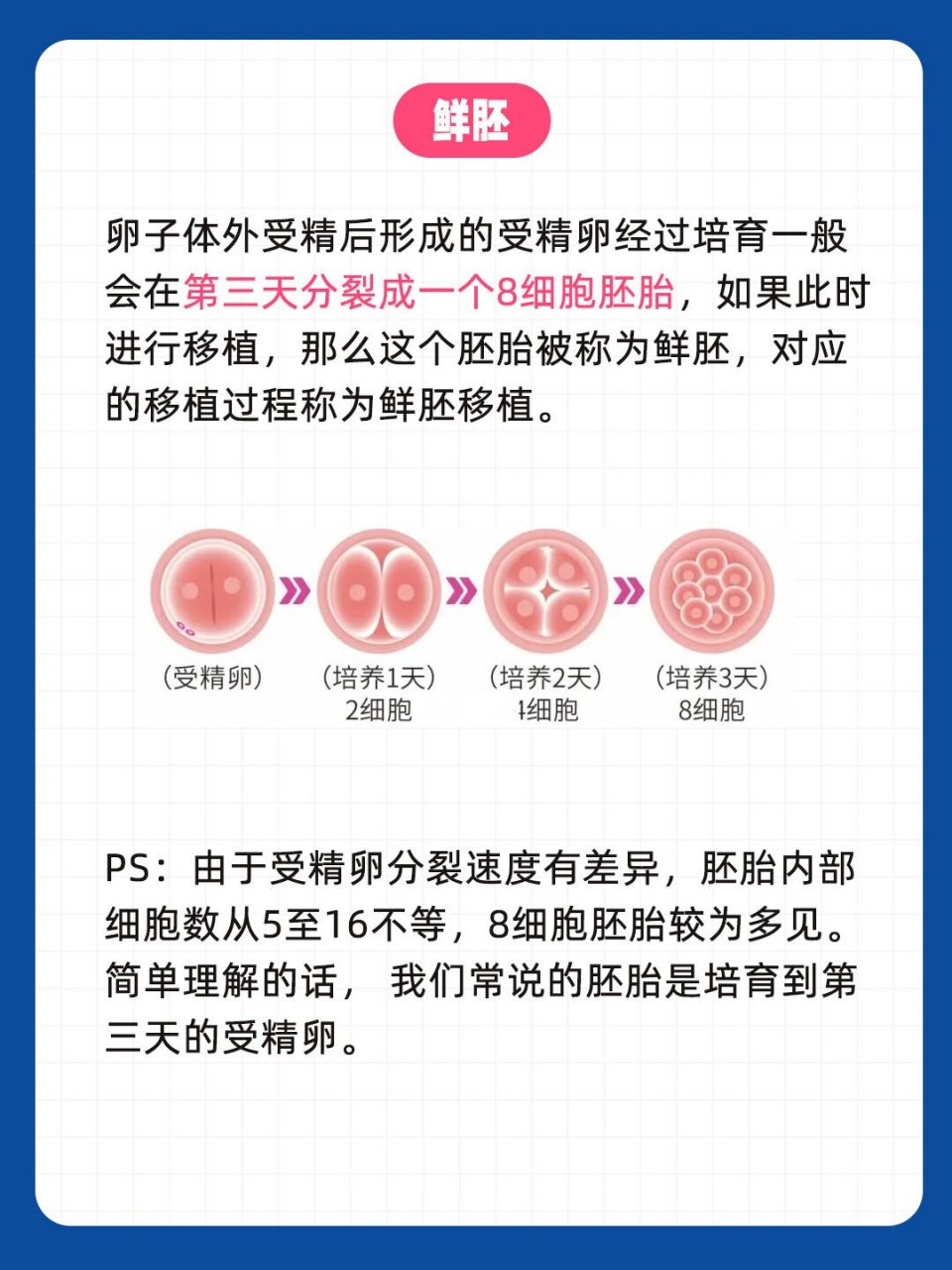 鲜胚,囊胚,冻胚,哪种移植成功率更高?