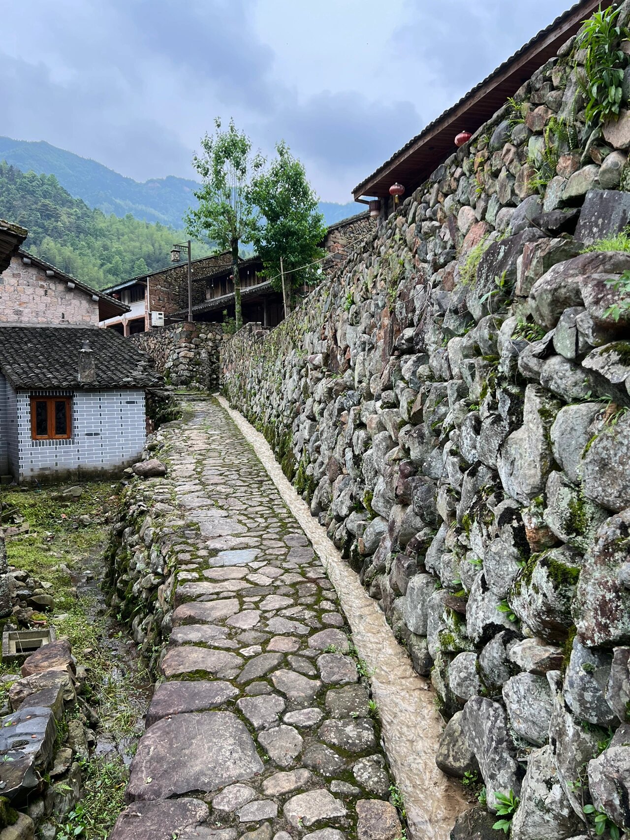 瑞安周边旅游好去处图片