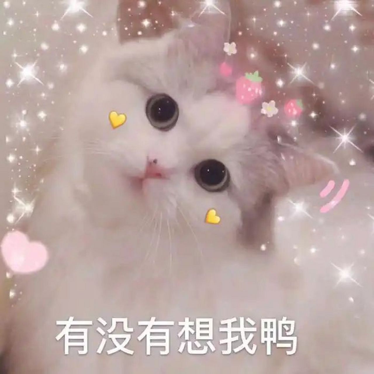 情侣表情包|今天有没有想我鸭