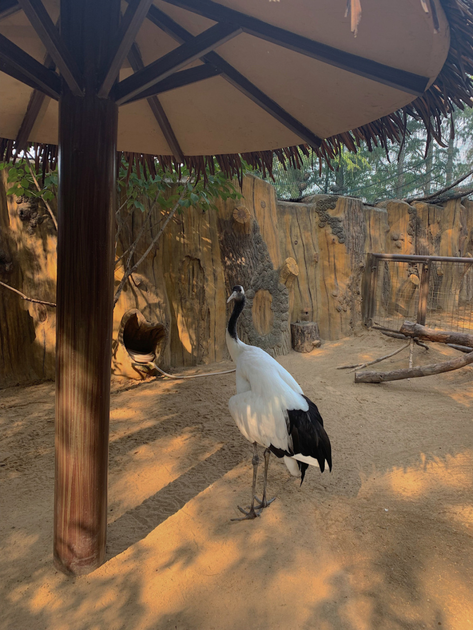 名字:武汉飞鸟世界 地址:武昌区沿湖大道20号(东湖梨园左侧) 门票:100