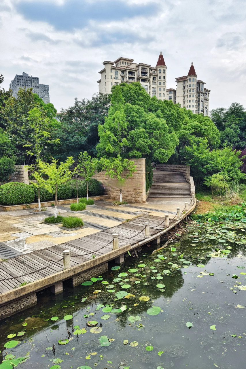 蜀山区新加坡花园城,夏天的景色看起来不错,曾经的富人区,湖心有座