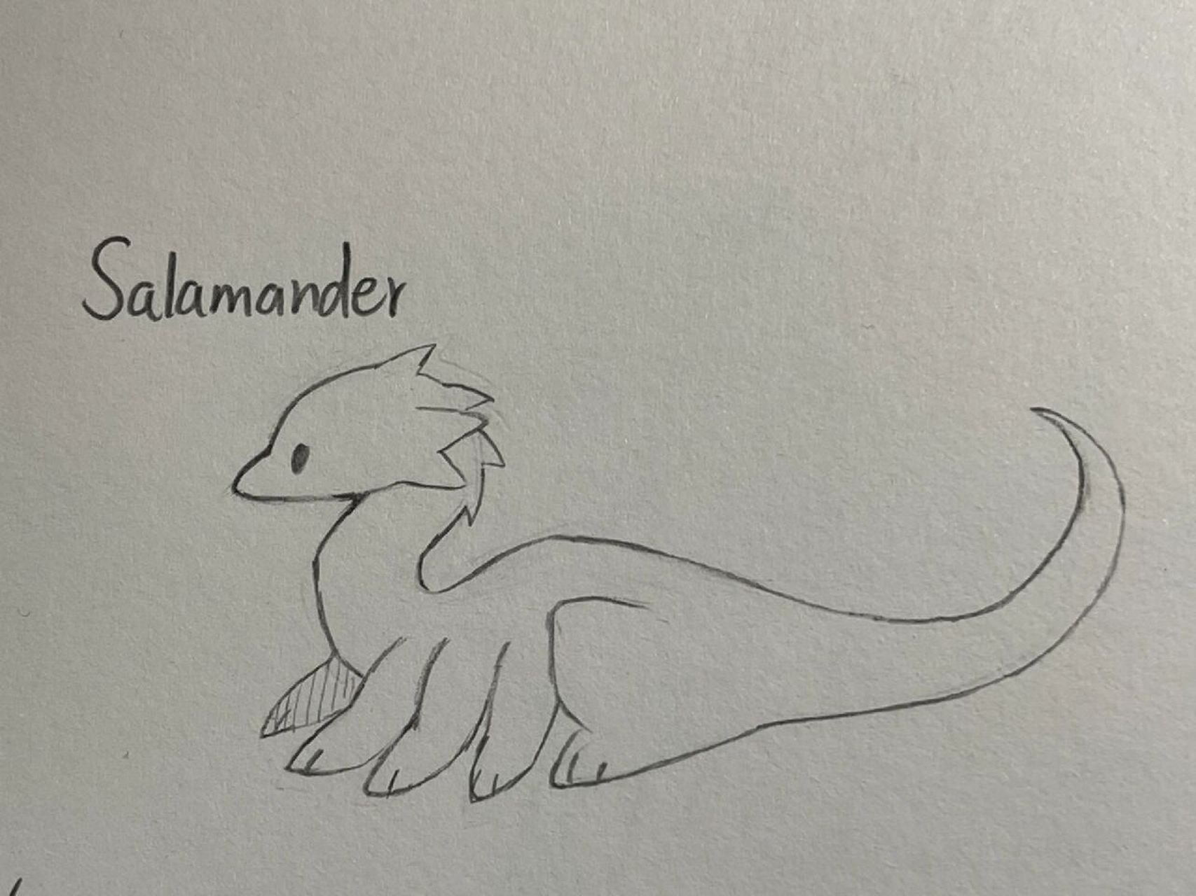 画了点不同种类的龙,大部分是西方神话里的啦(名字可能标得不对,但是