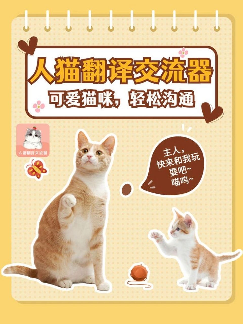 宠物互动工具——人猫翻译交流器93 不知道猫咪喵喵喵的都在叫唤