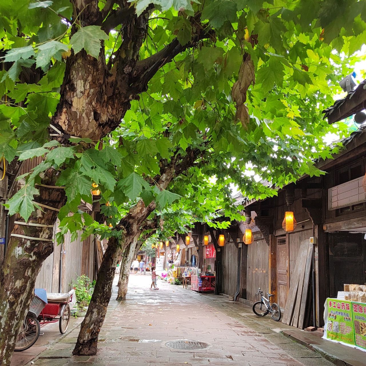 成都|邛崃 平乐古镇 川西竹海带娃一日游 成都出发