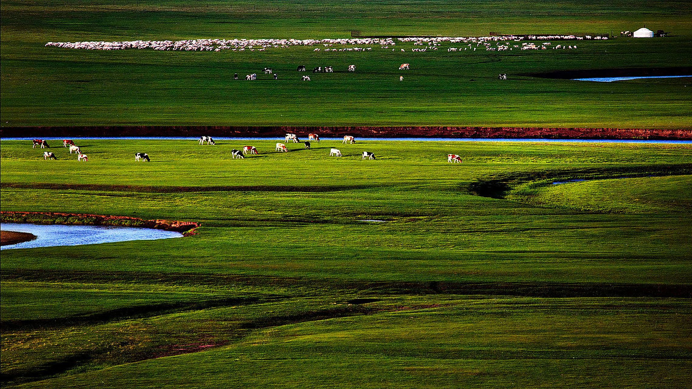 宁波身边事#【#宁波直飞海拉尔大草原即将开通#[666]】宁波市民的
