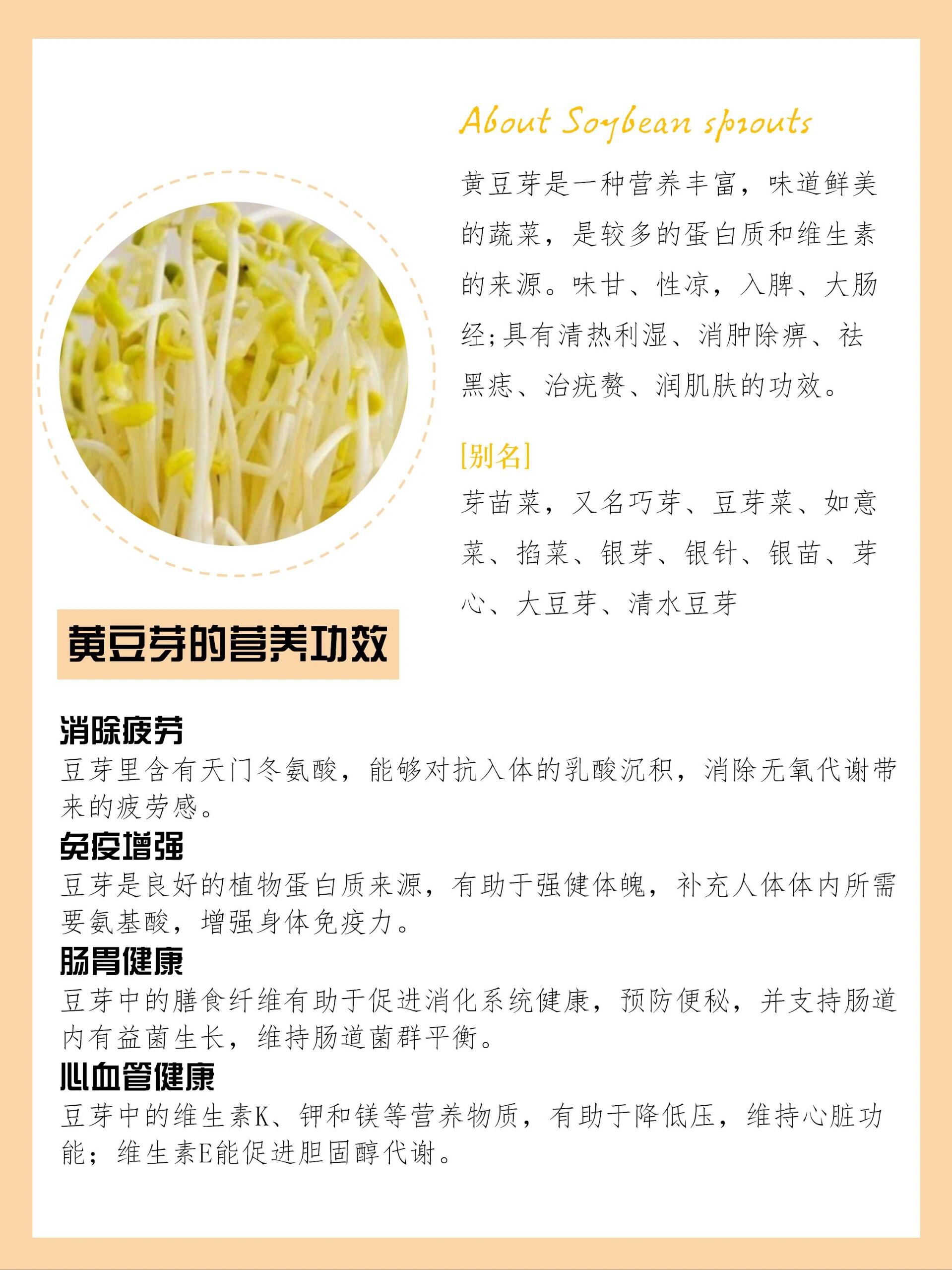 �蔬菜说明书soybean sprouts|豆芽 黄豆芽是一种营养丰富,味道鲜美