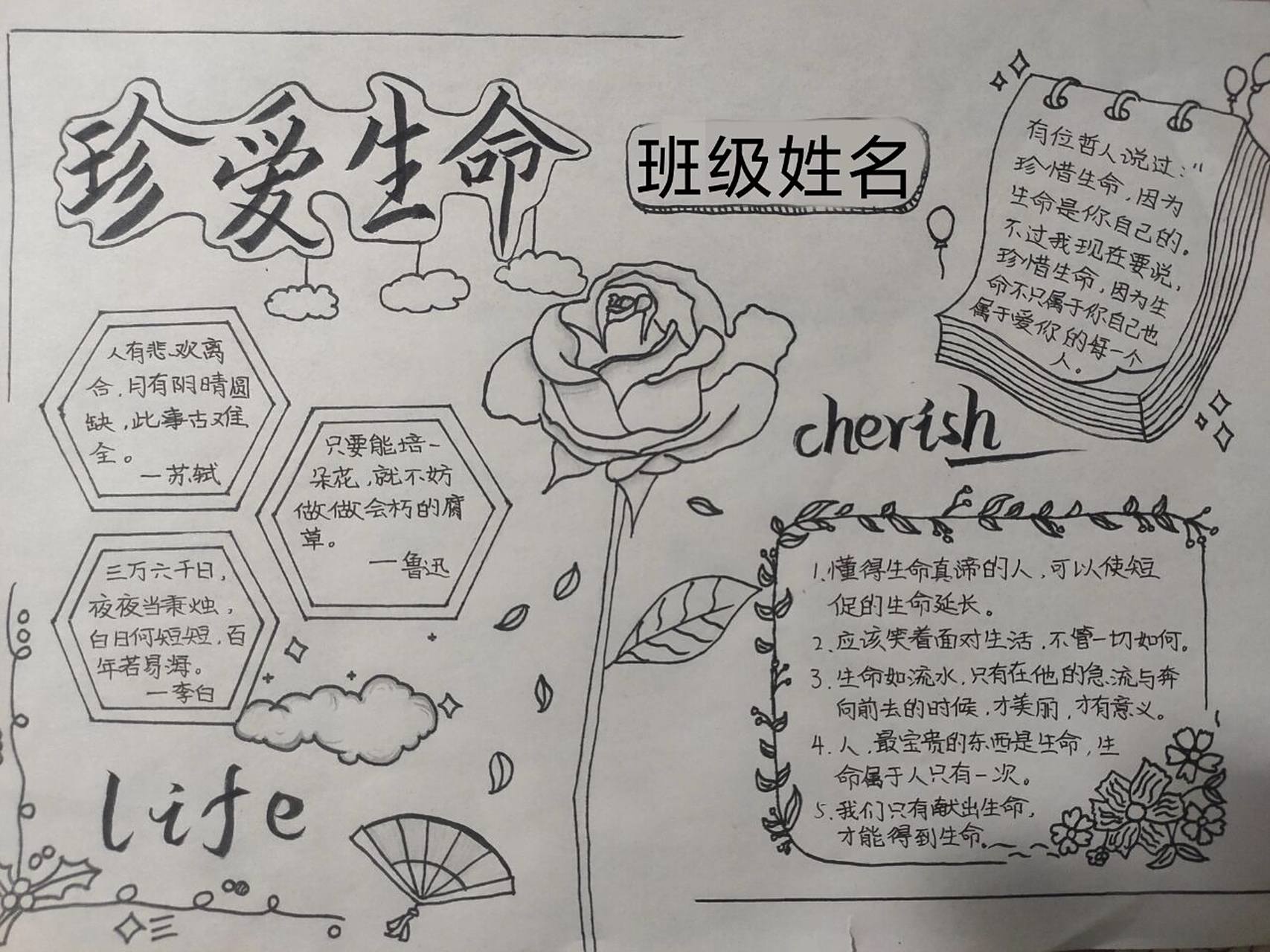 珍爱生命手抄报 纯黑白手抄报