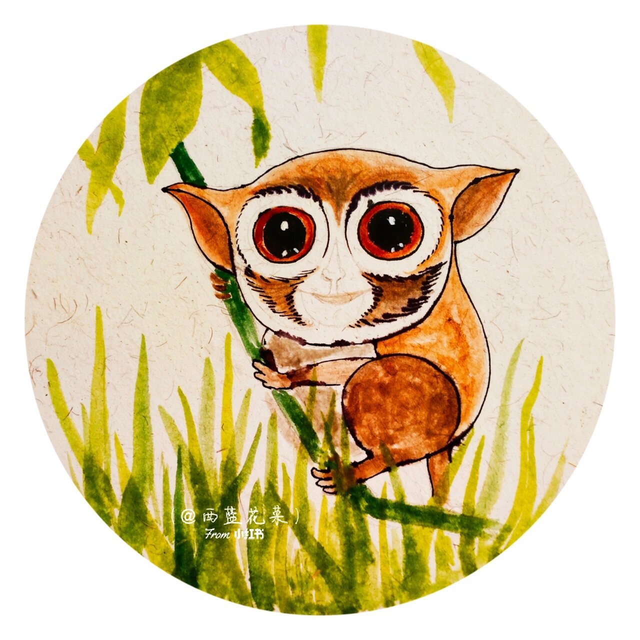 创意儿童画《眼镜猴》 适合七岁左右的小朋友 可可爱爱的眼镜猴