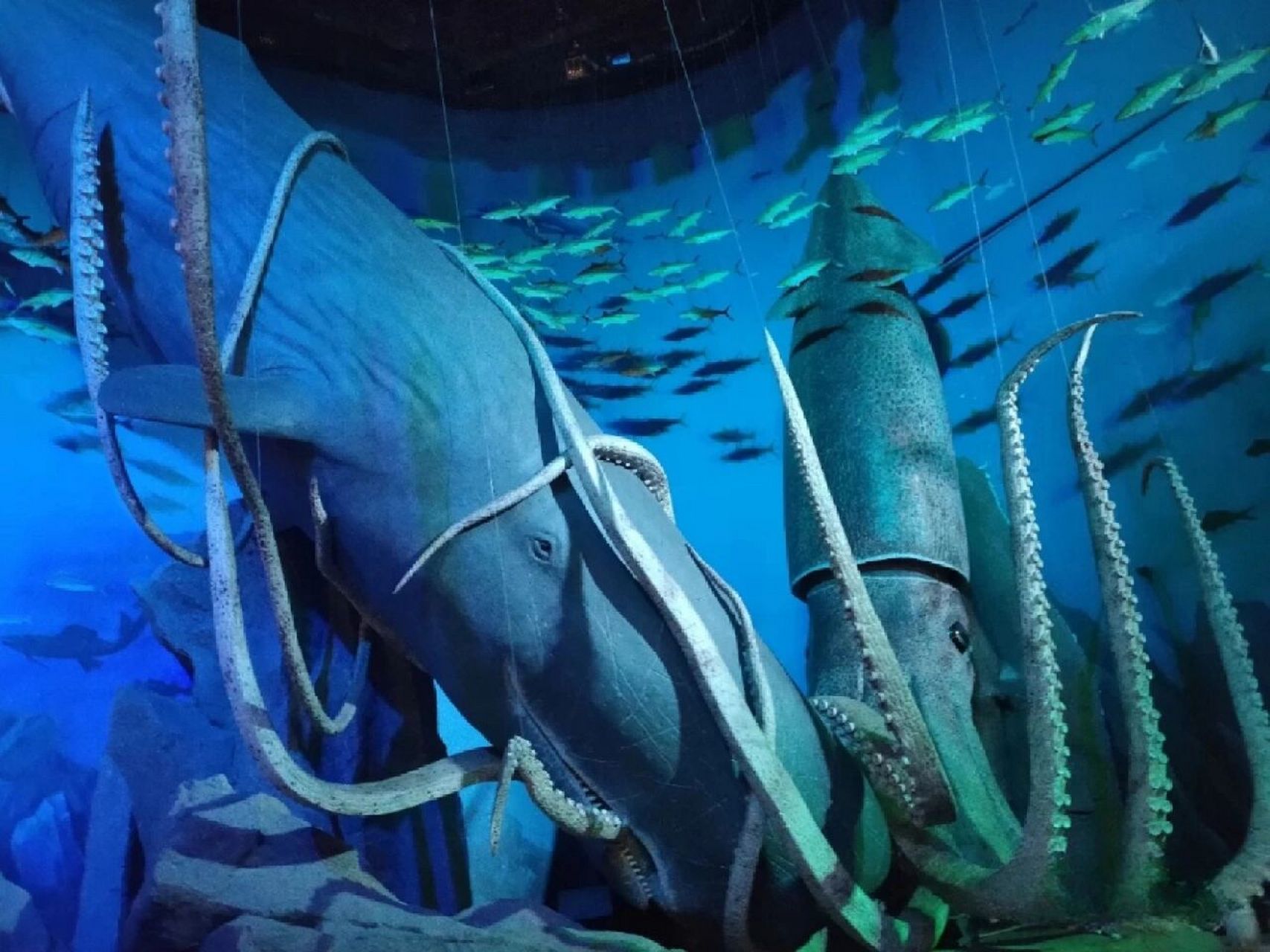大连海洋馆 海底世界图片