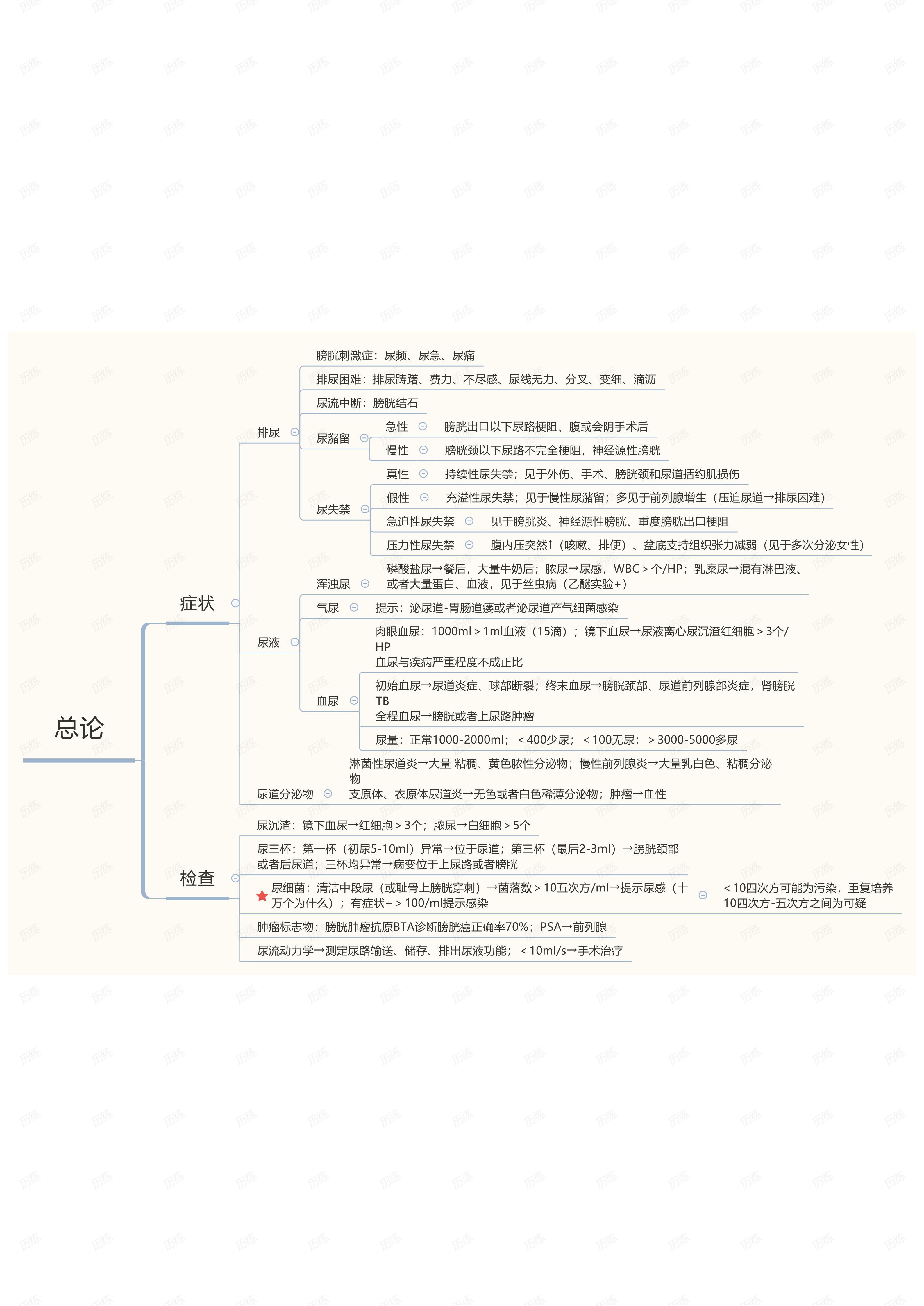 泌尿系统思维导图七下图片