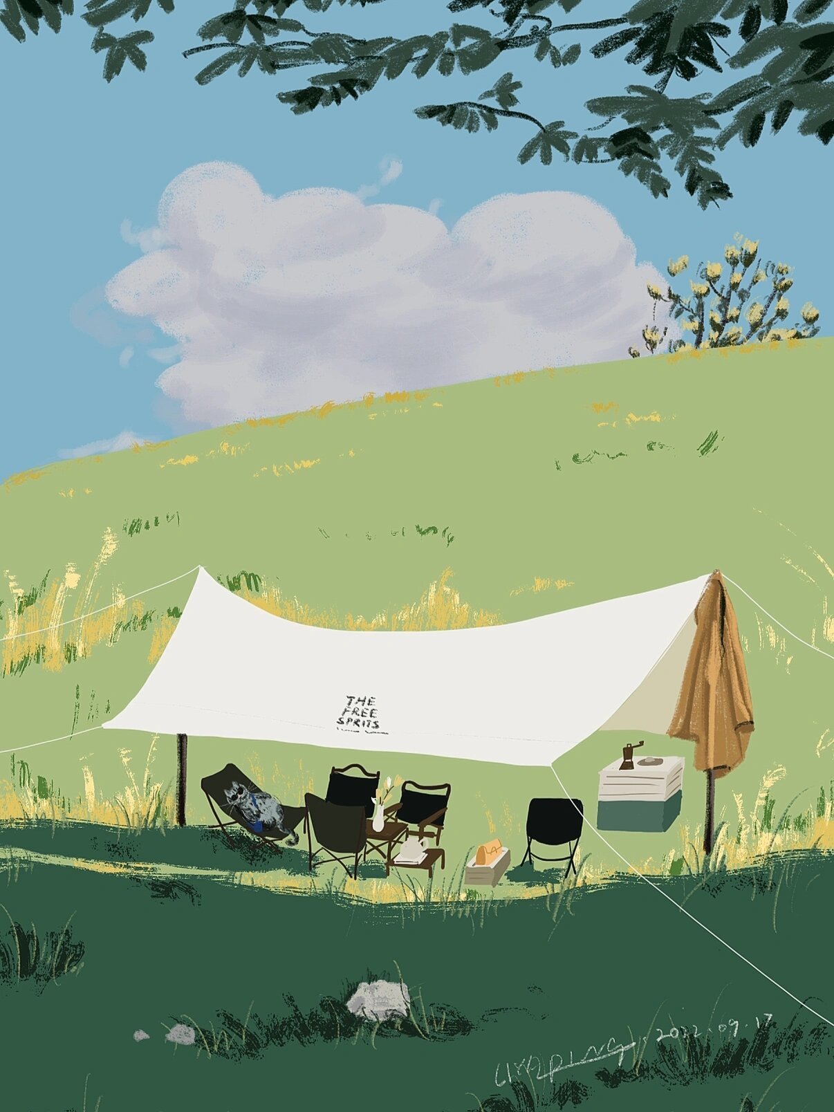 55/100 阳光,草地和露营