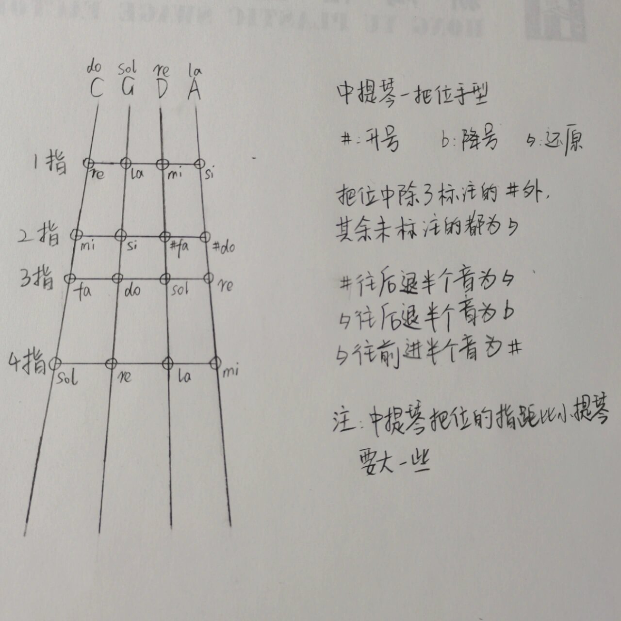 大提琴五线谱与指位图图片