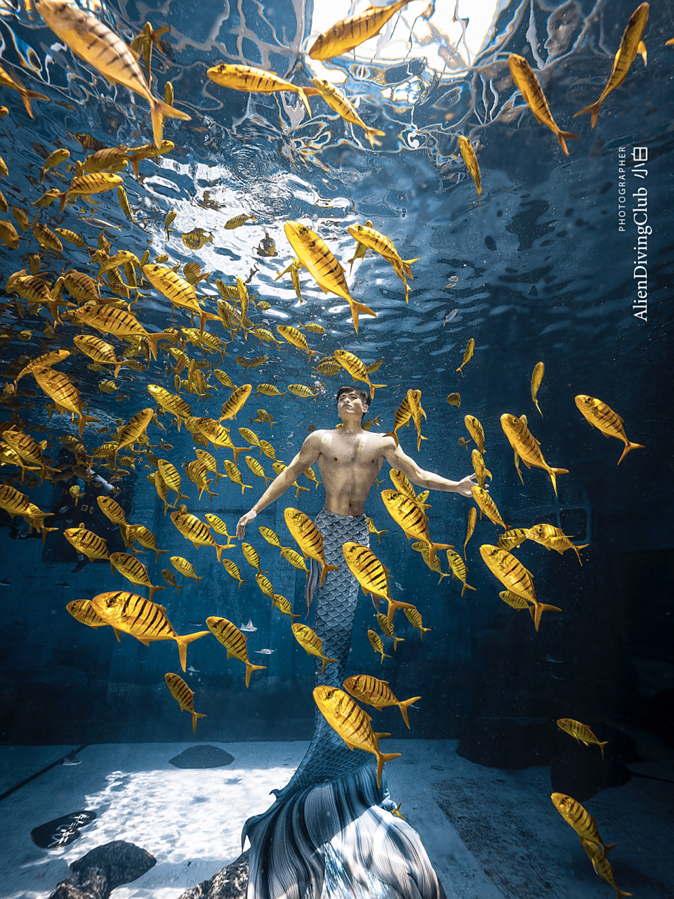 男生美人鱼,是另一种感觉 有人说美人鱼是女生的专利,其实不然,男生