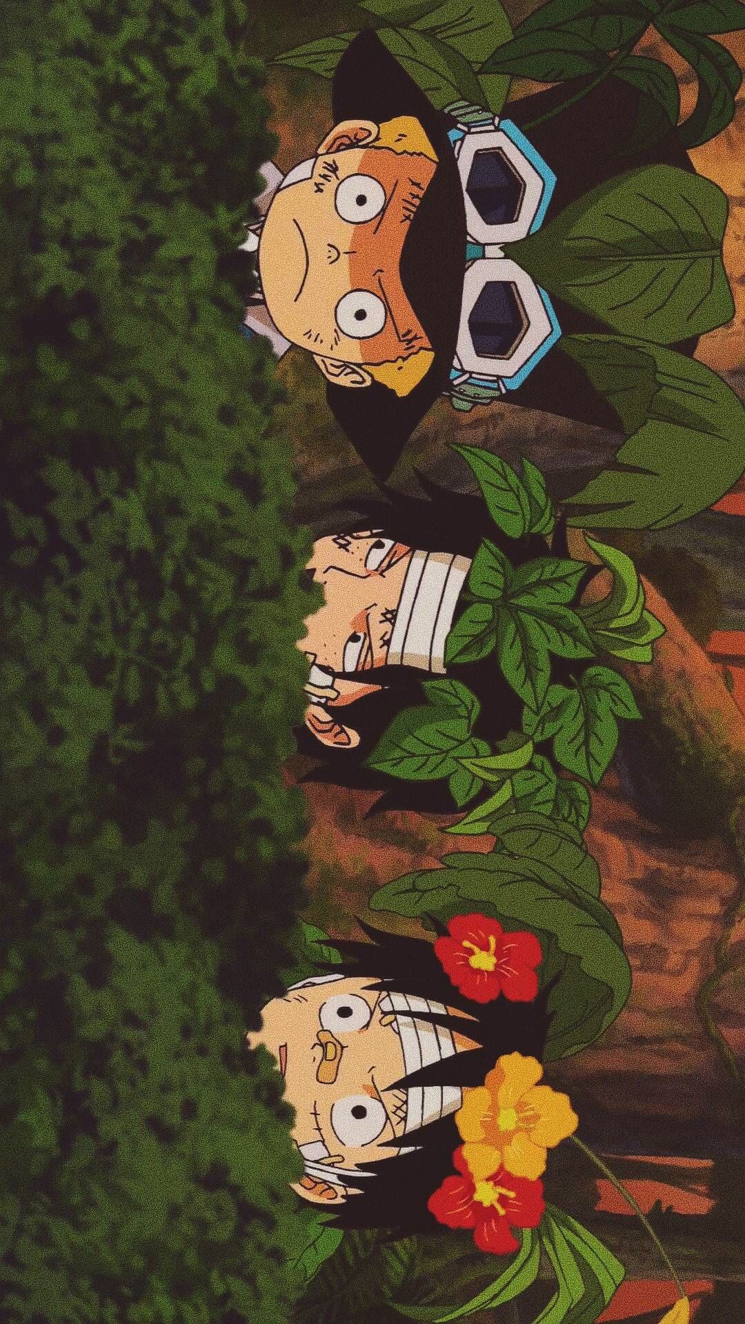 想要quixote 的想法: 壁纸分享:《海贼王》 | 三小只的壁纸用了