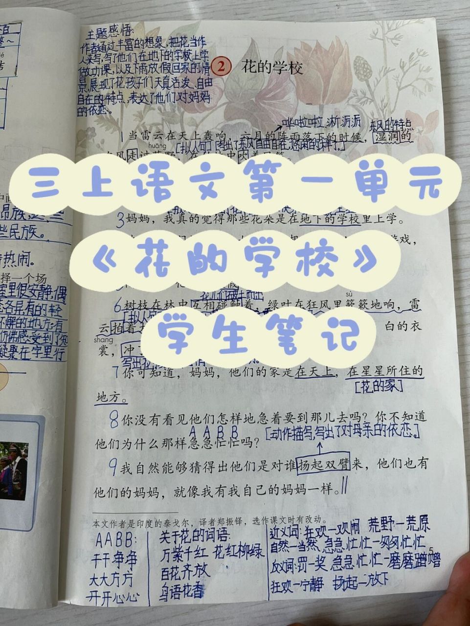 三上语文|《花的学校》学生笔记 有错误欢迎指出～#班主任日常# #三