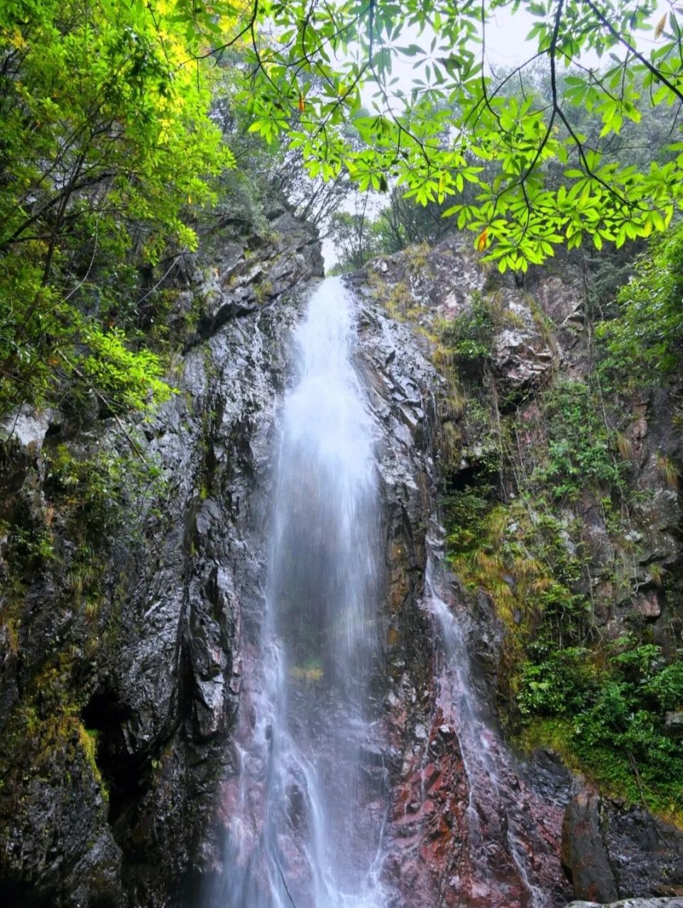 喜欢看山水的小伙伴,夏天又想找个避暑地,那我强烈推荐黄岩大瀑布!