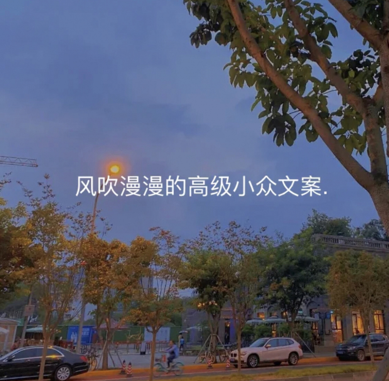风吹漫漫的高级小众文案. #惊艳到你的句子