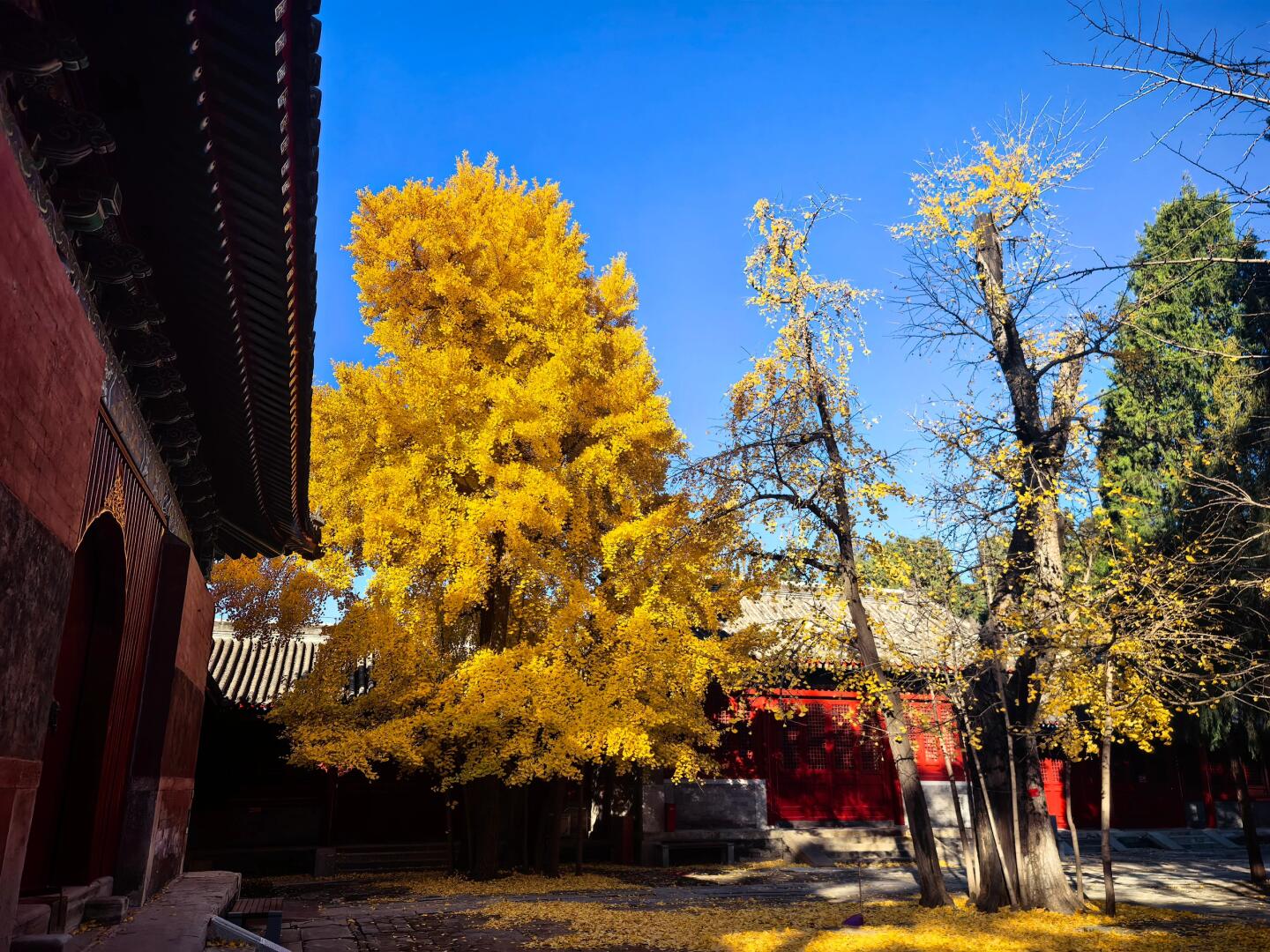 承恩寺限时免费开放,邀您欣赏古寺之秋🍁