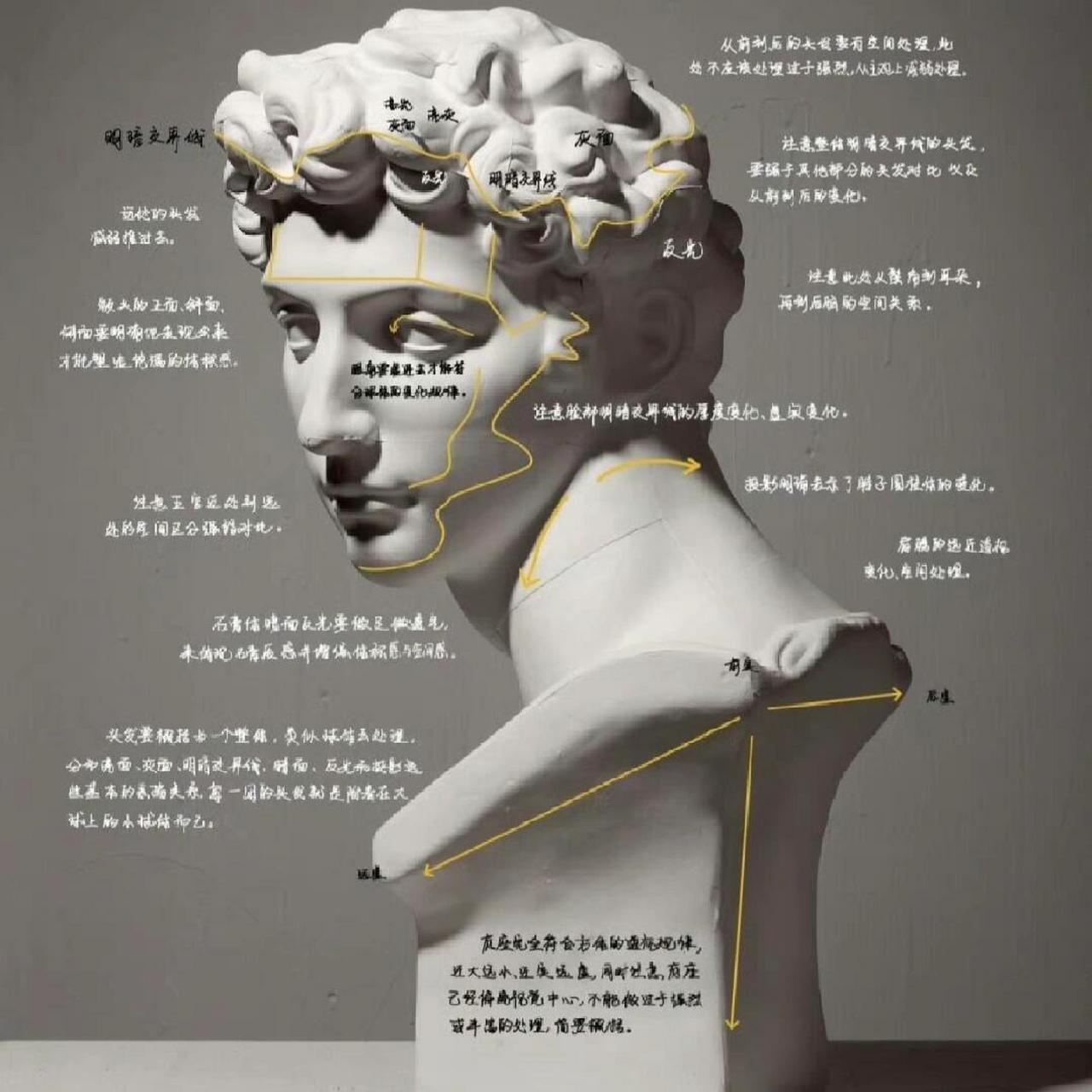 小卫石膏像素描步骤 1.