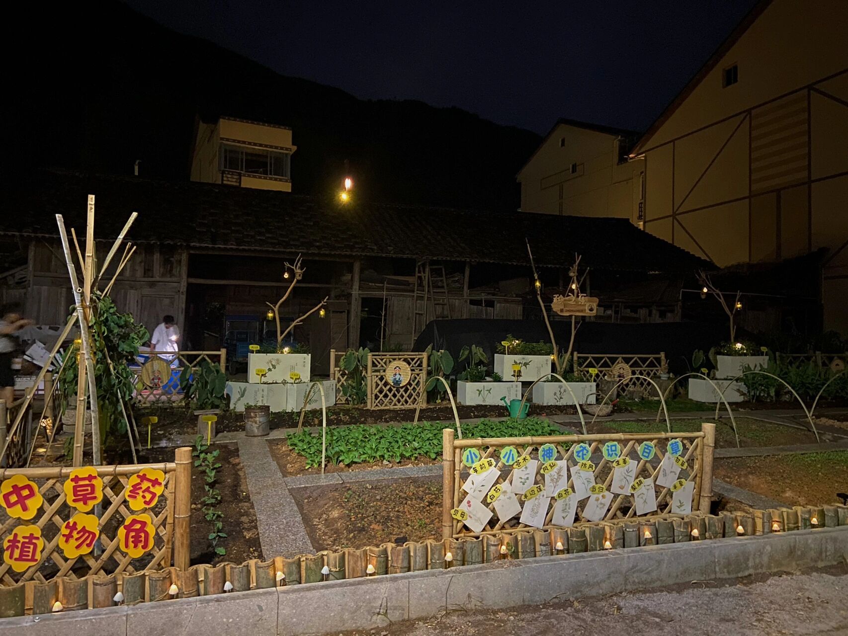 乡村振兴 乡村改造 菜园设计 共享庭院 95有感而发99坐标——浙江