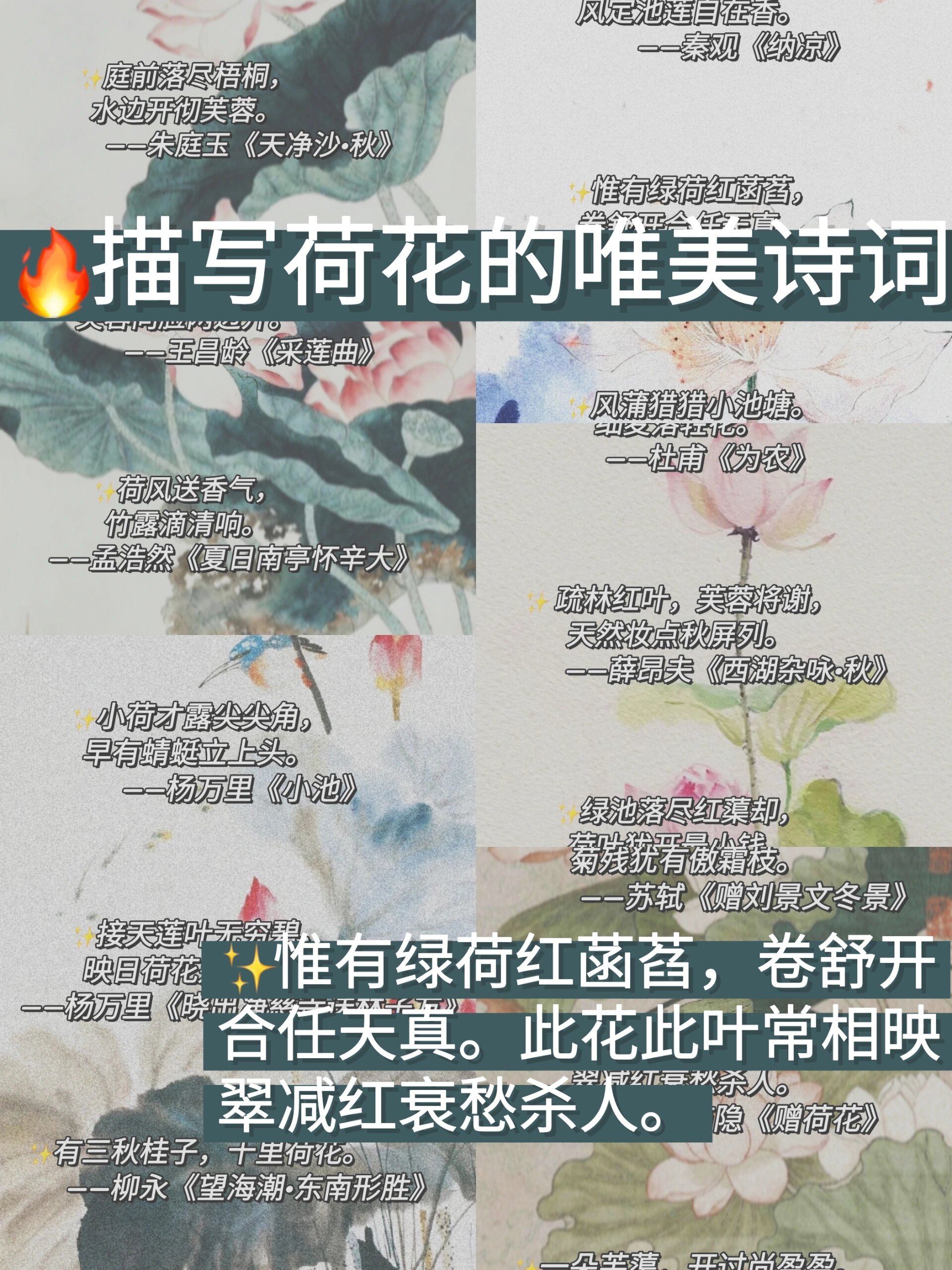 荷花的现代诗原创图片