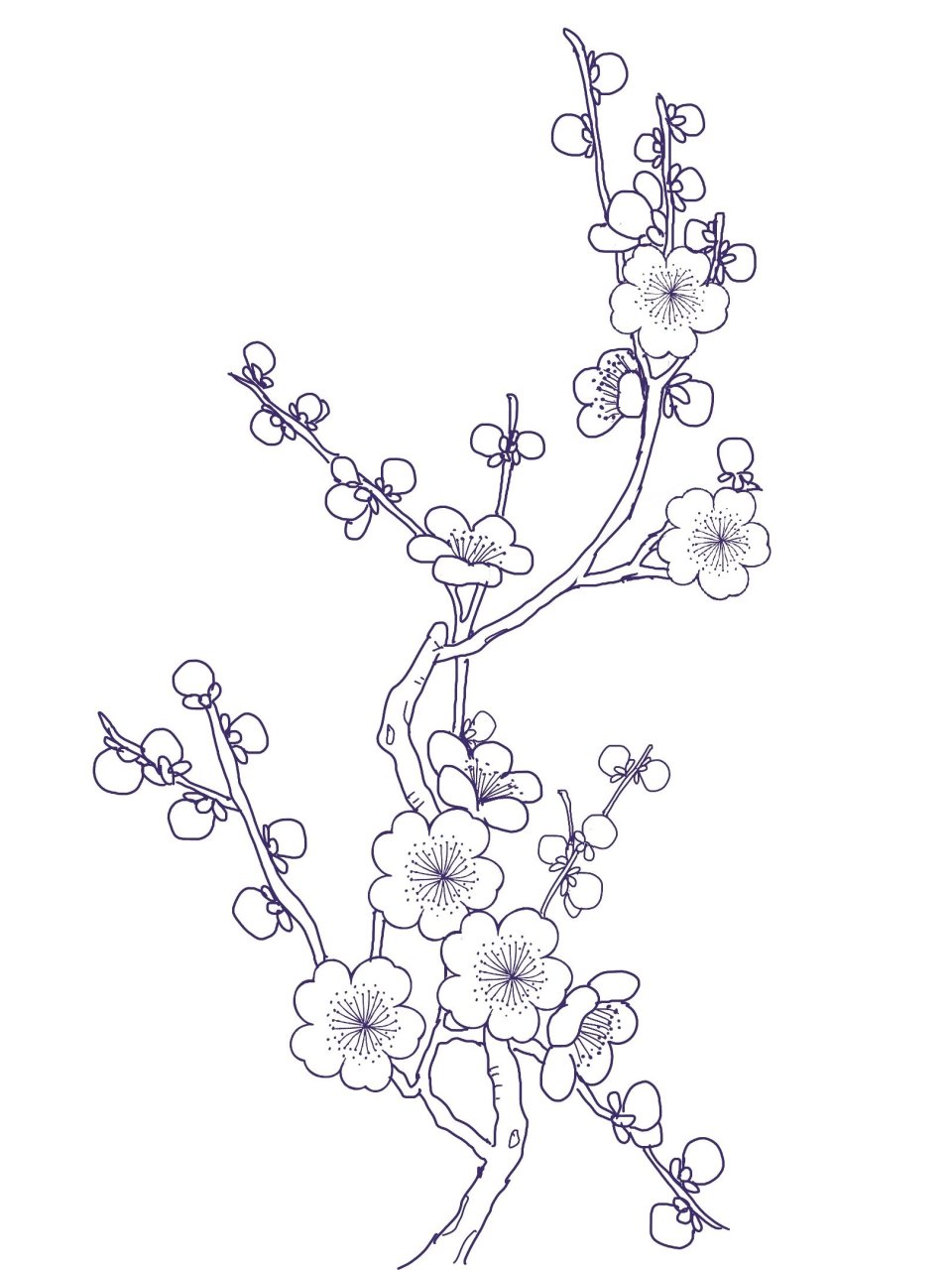 梅花纹样  临摹来自