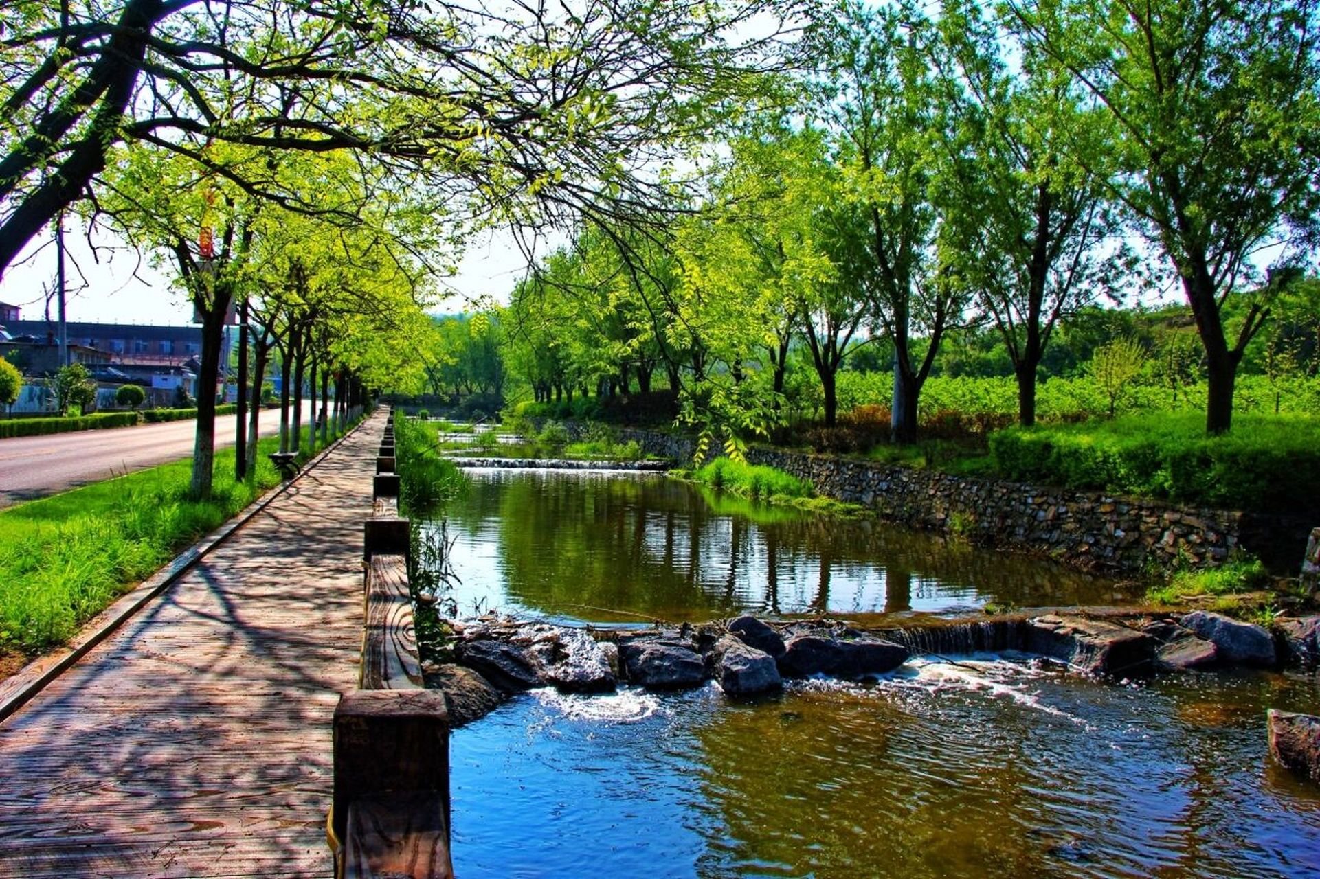 大连打卡|这里有一个美爆了的旅游度区92 大连东沟生态文化旅游度假