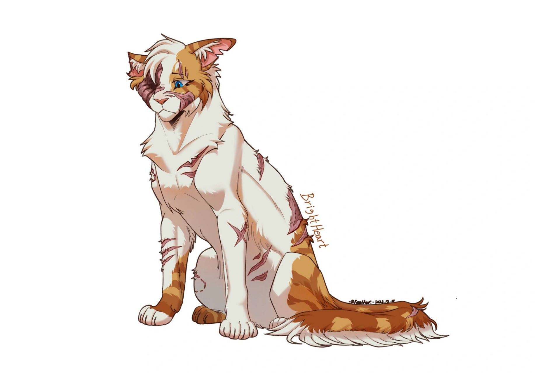 猫武士亮心 后几p有轻微xue腥表达,请自行斟酌是否观看 让我看看能不