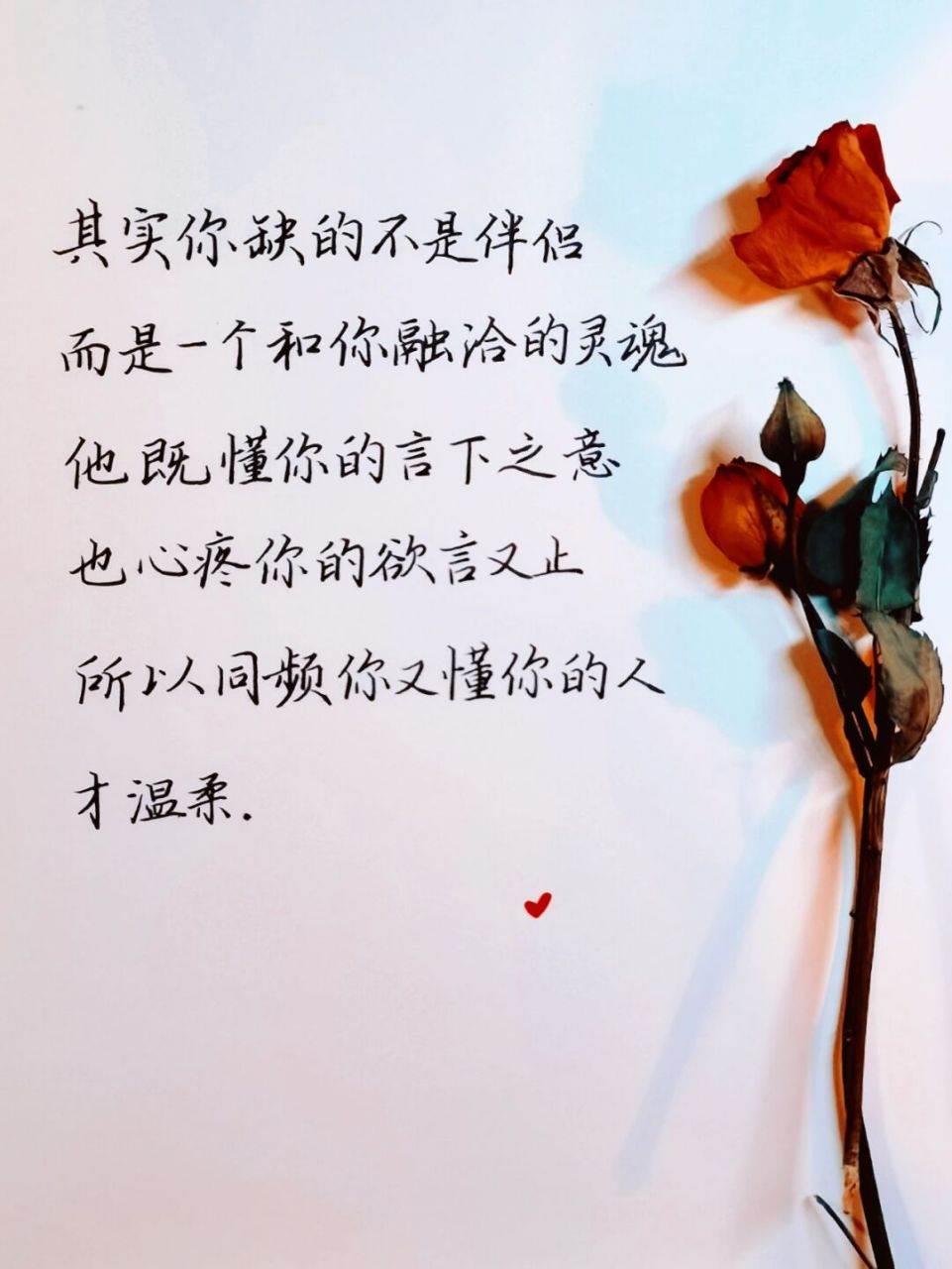 7815我们需要的不是伴侣,而是 一个懂你的言外之意,又懂你的欲言