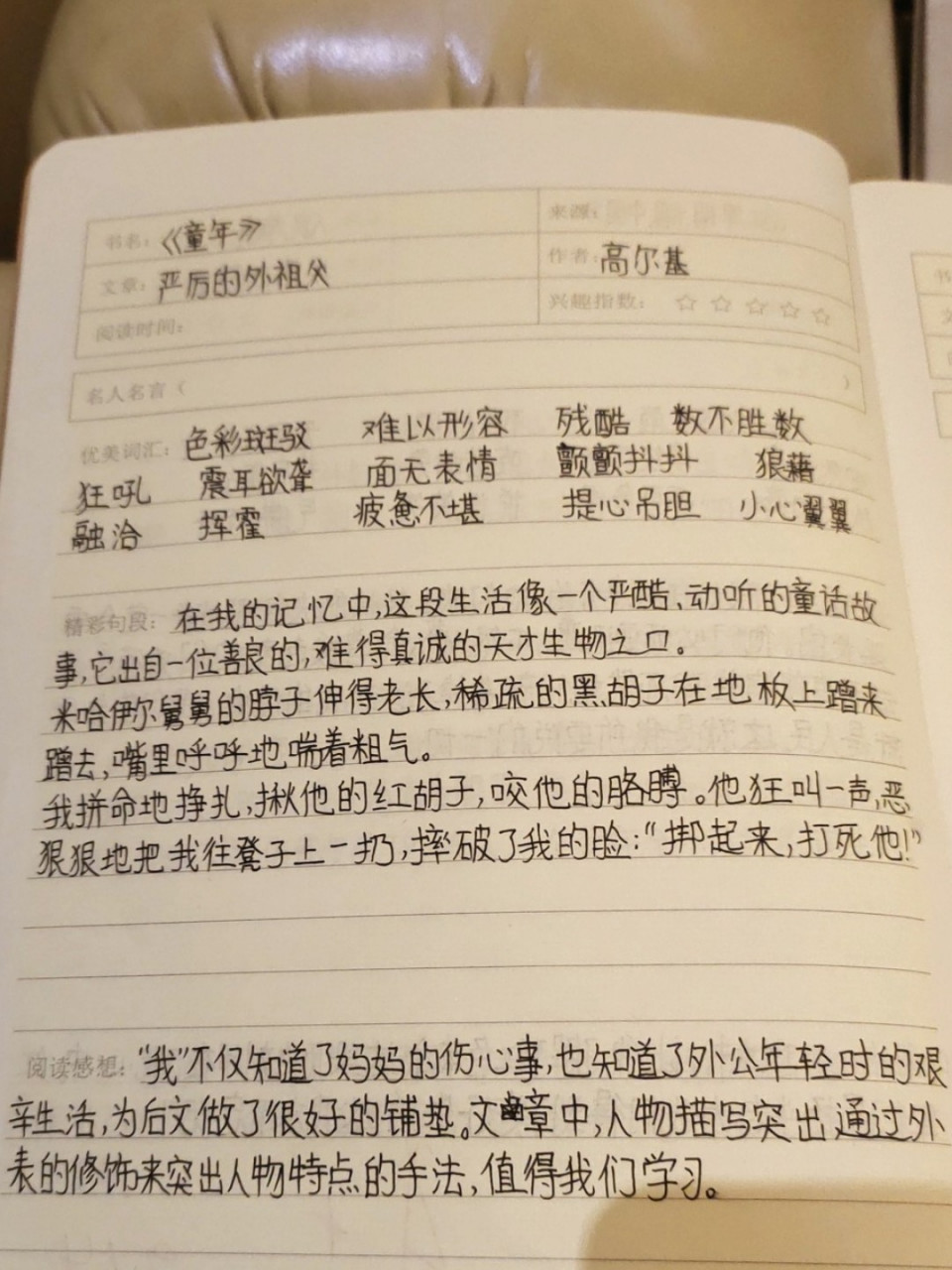 《童年》读书笔记 《童年》读书笔记