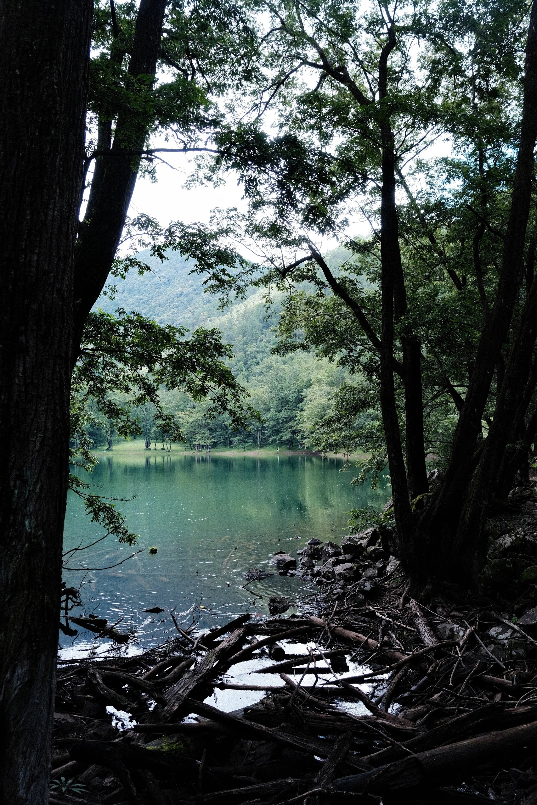 德昌|黑龙潭森林公园