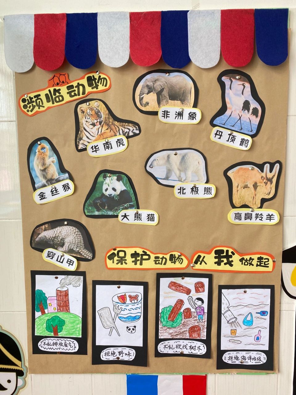 【动物世界】幼儿园主题墙环创 板块一:濒临动物,保护动物从我做起