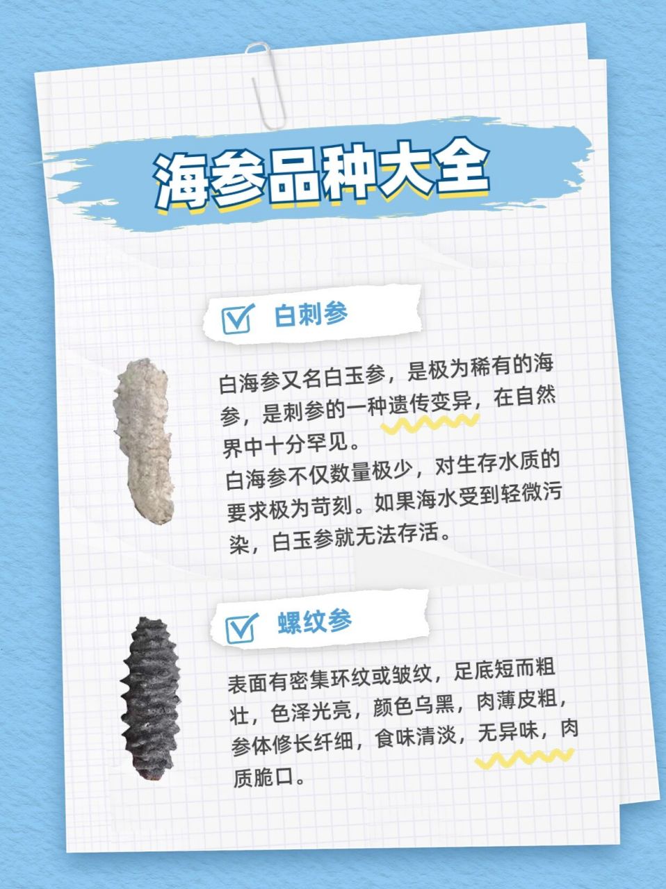 海参有几种品种的图片图片