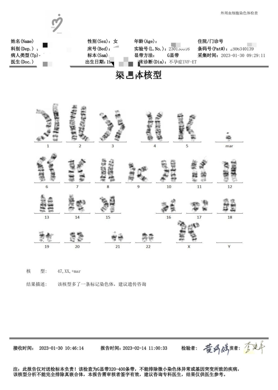 女性染色体报告图片