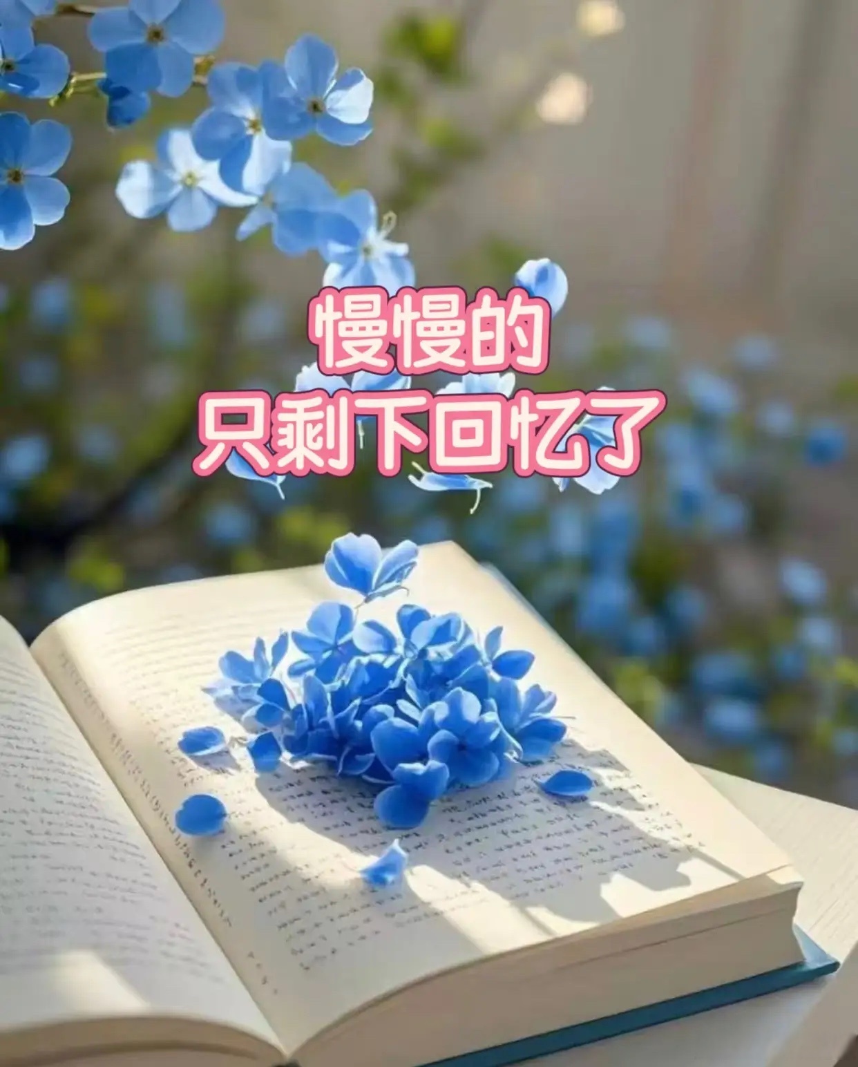 回忆图片伤感看淡世态炎凉图片伤感回忆过去的图片活着伤感图片亲人走