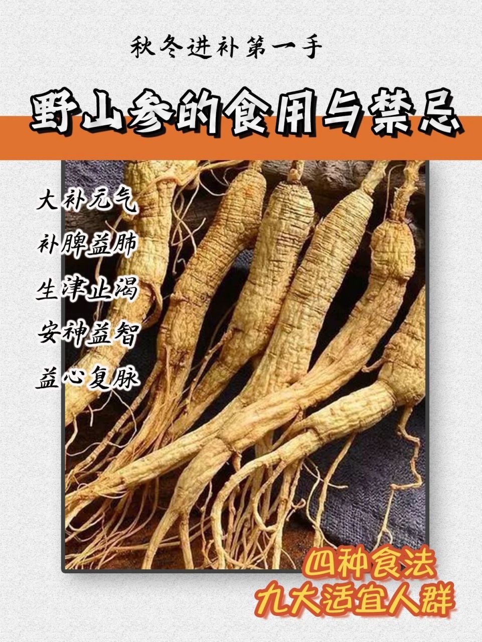 野山参的九大适宜人群!三大吃法!
