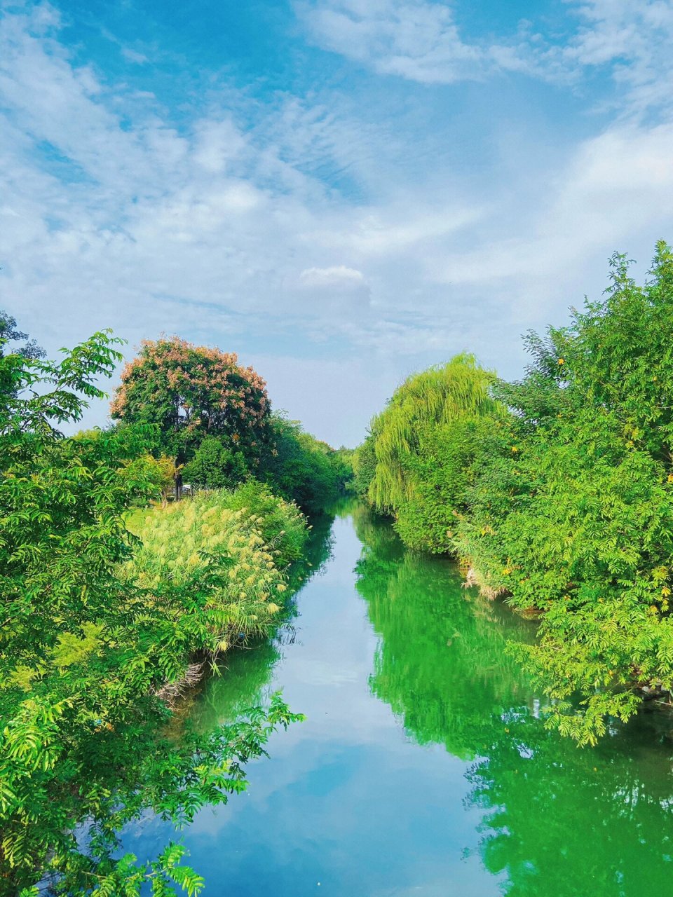 西溪湿地 风景图片图片