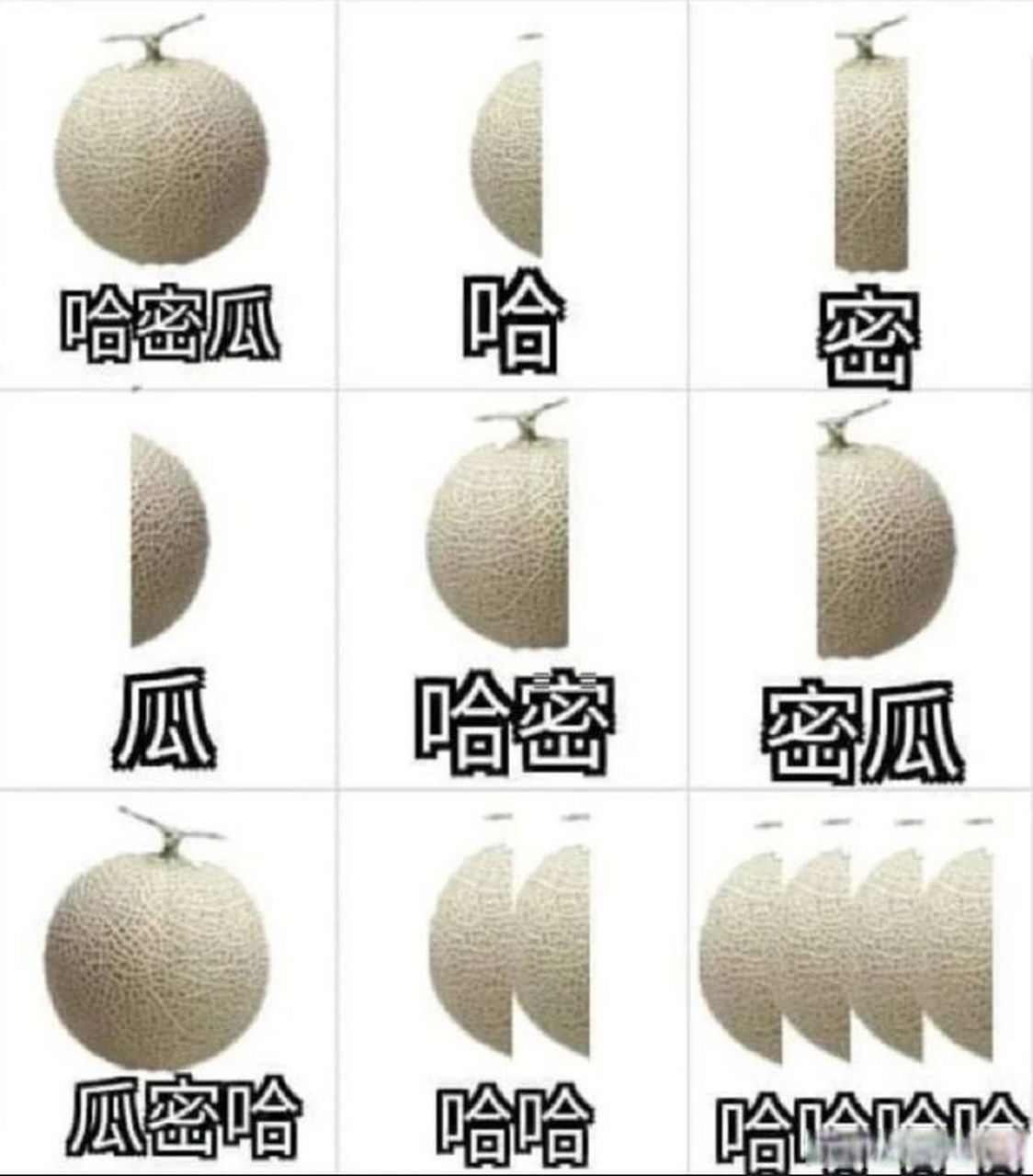 哈哈哈哈要被这个沙雕哈密瓜表情包笑死