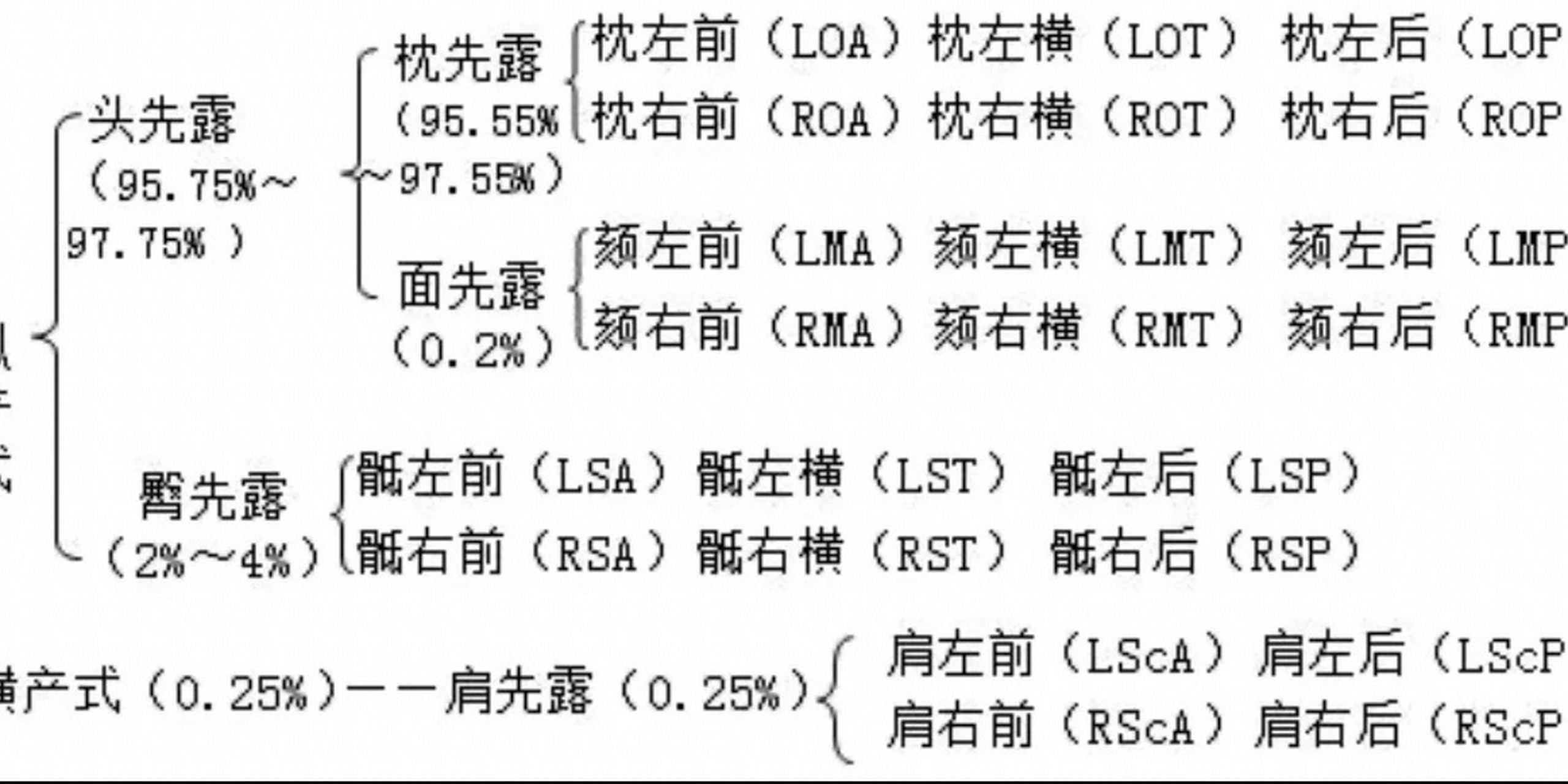 胎方位字母图片