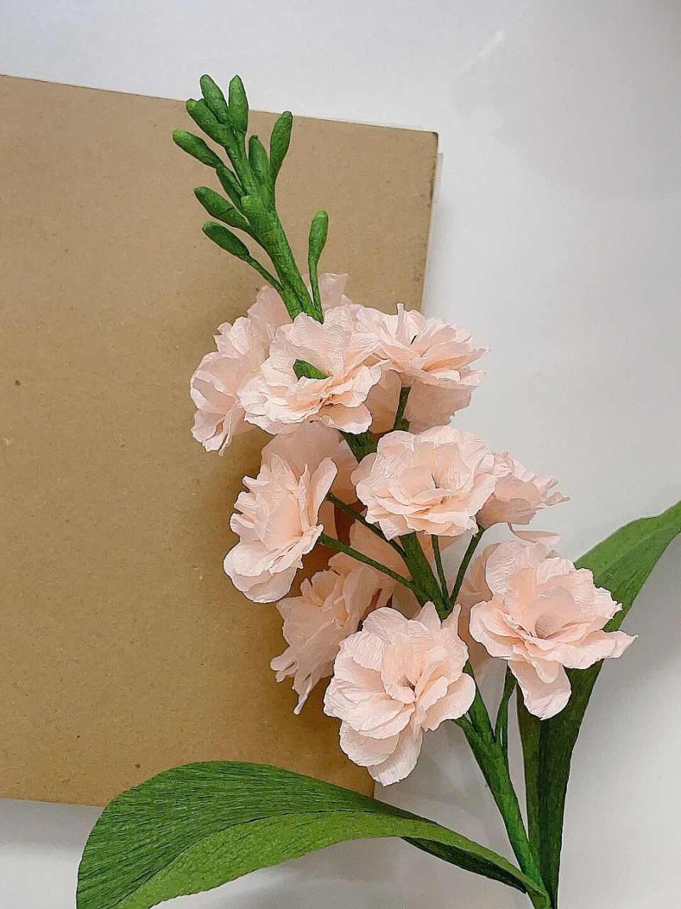 98褶皱纸花|香槟色的紫罗兰也是美美哒~ #diy手工制作# #永生花