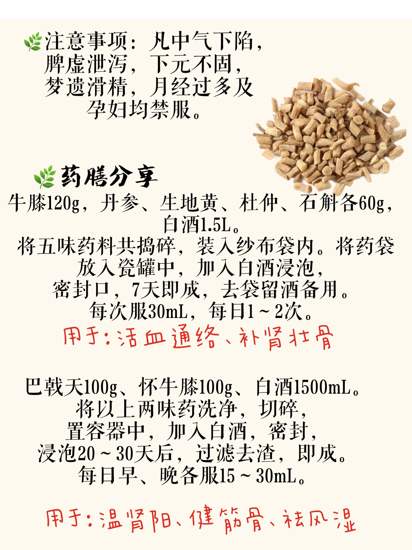 红牛膝的作用图片