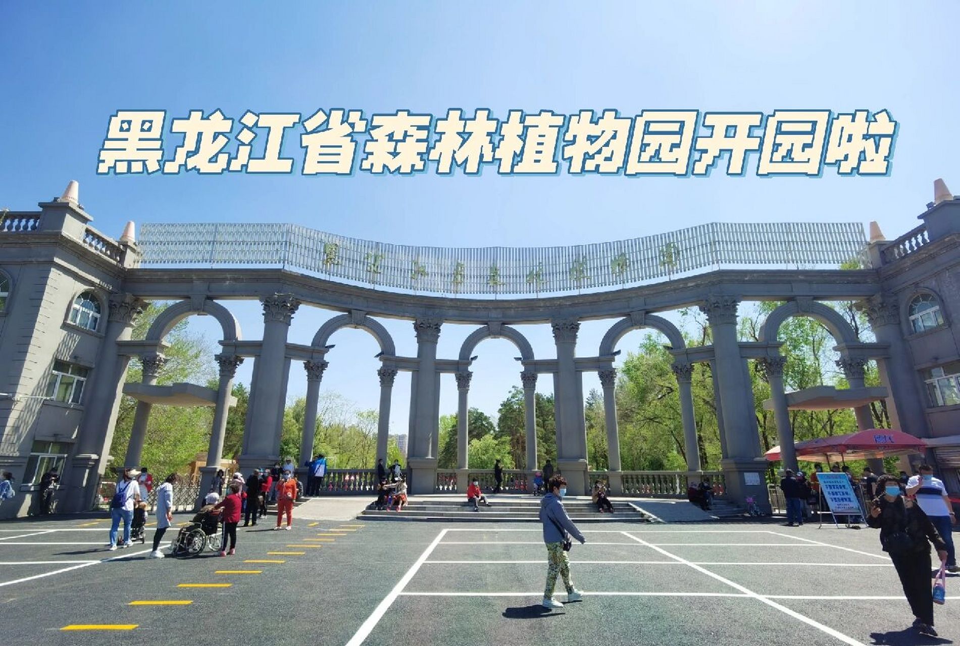 【哈尔滨周末出游】黑龙江省森林植物园开园 黑龙江省森林植物园5月9