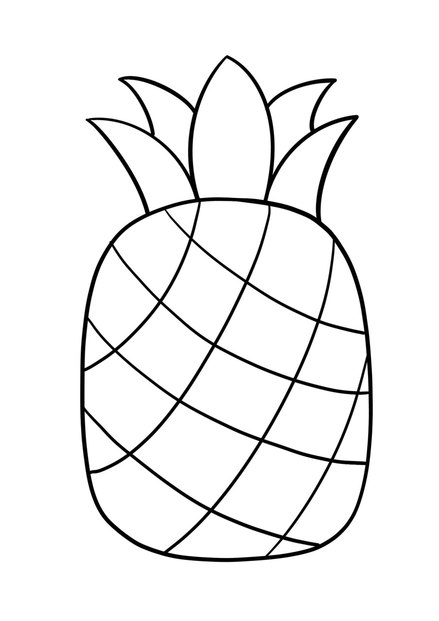 简笔画教程分享 菠萝