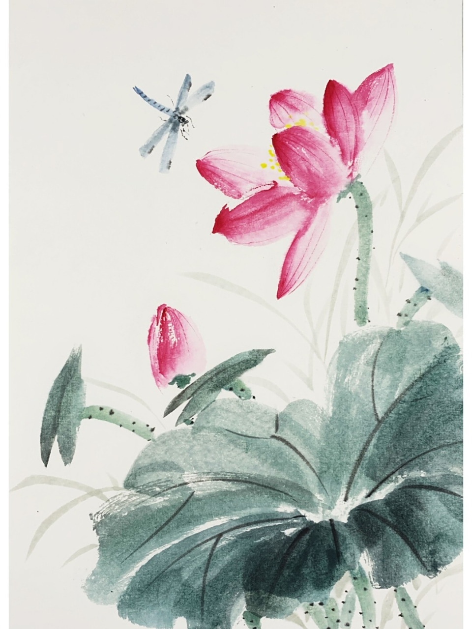 小荷才露尖尖角,早有蜻蜓立上头 写意荷花1.