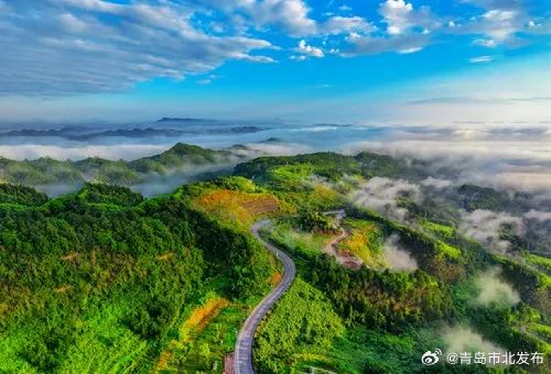 正确处理高质量发展和高水平保护的关系|人民观点