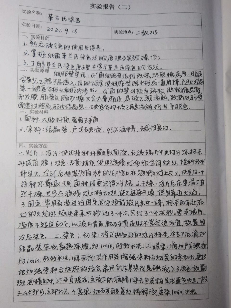 微生物学与免疫学实验报告 革兰氏染色