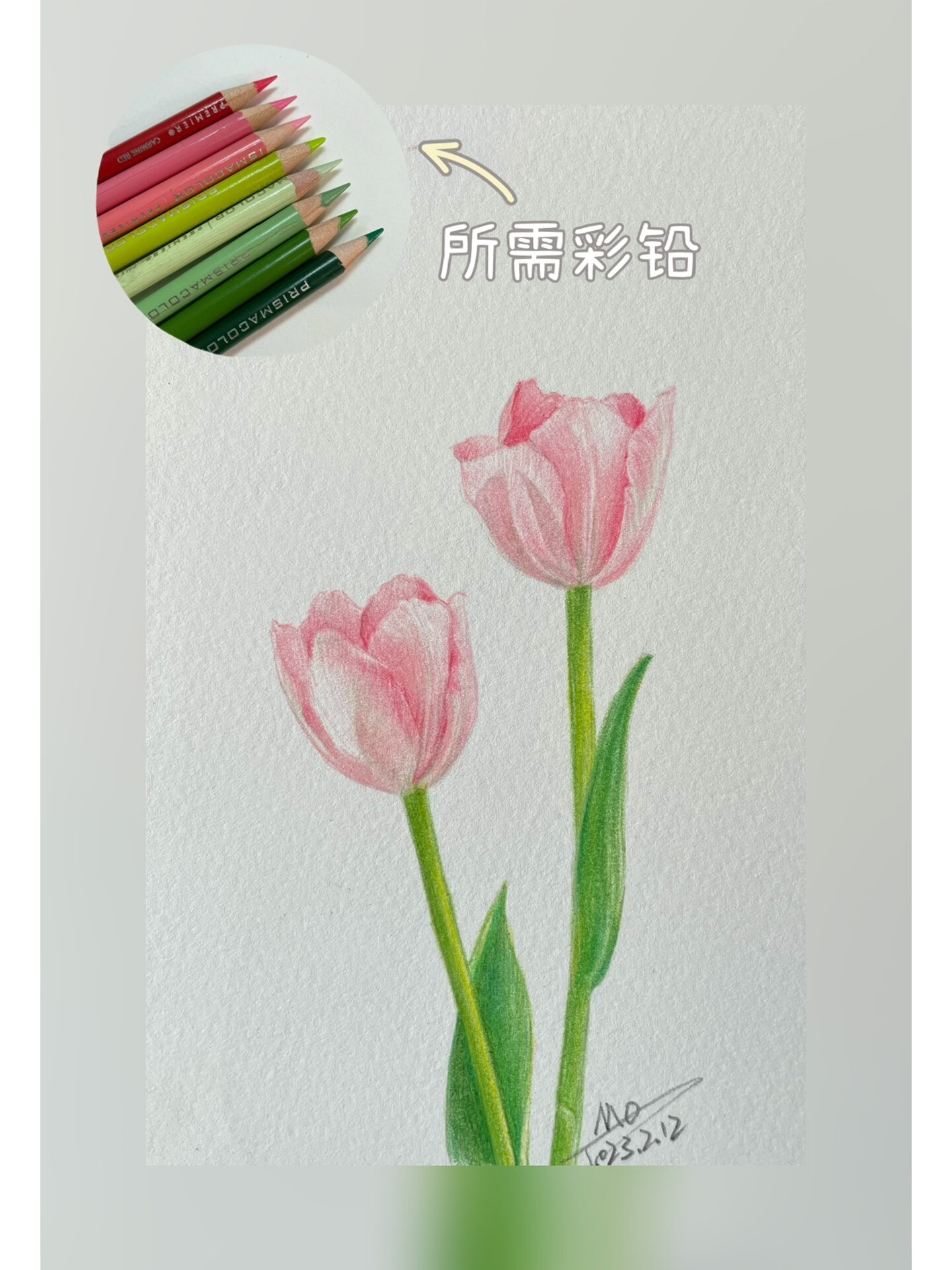 超级简单的彩铅花卉绘画过程